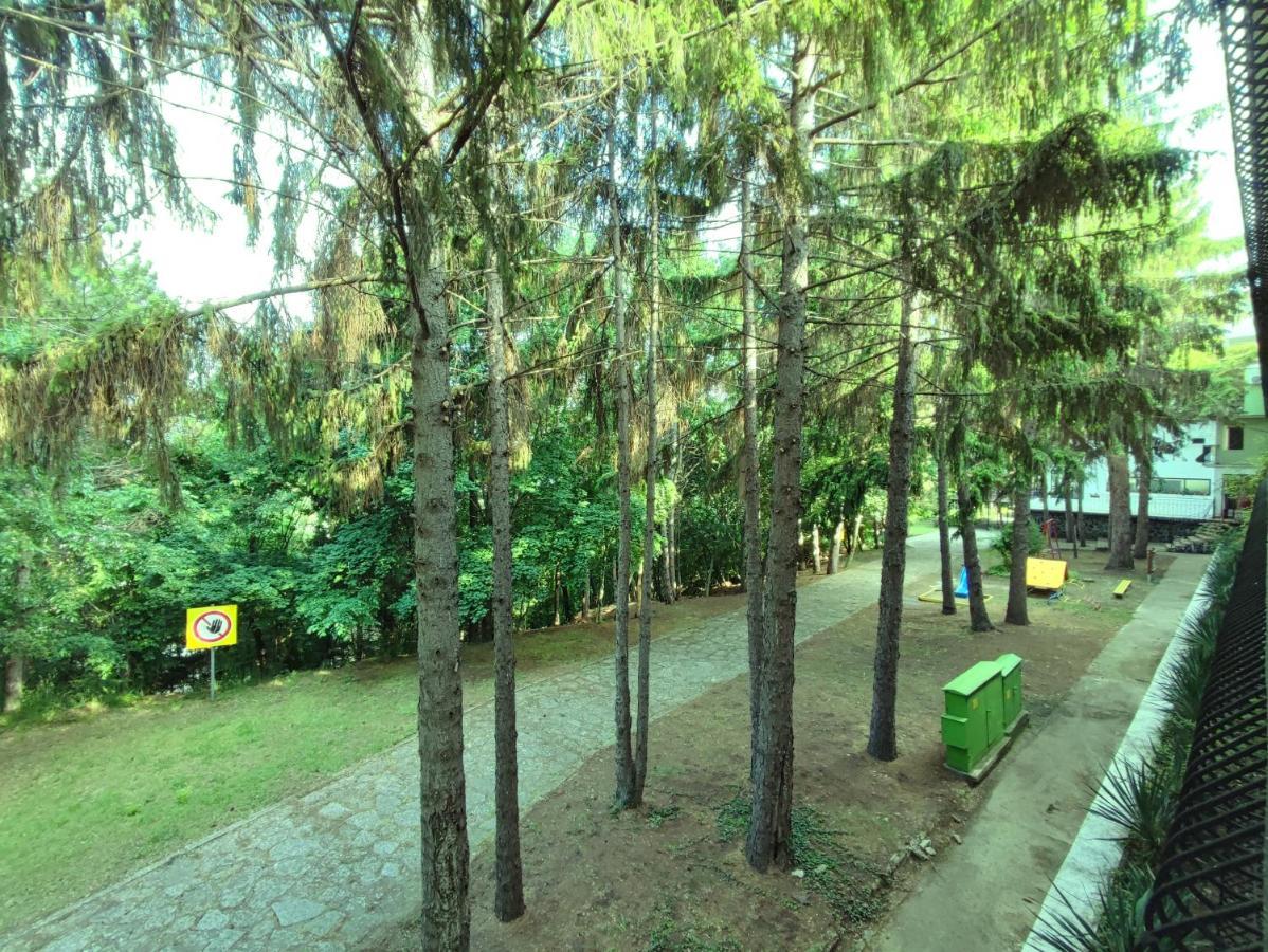 Park Hotel Briz Goldstrand Exterior foto